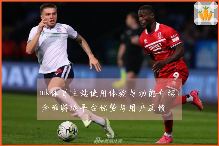 mk体育主站使用体验与功能介绍，全面解读平台优势与用户反馈